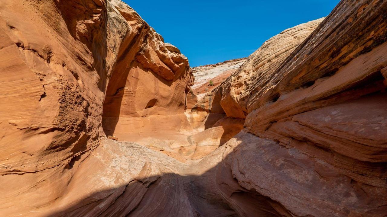 Under Canvas Lake Powell-Grand Staircase บิ๊ก วอเตอร์ ภายนอก รูปภาพ
